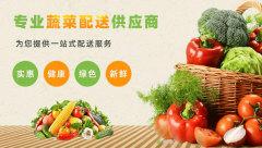 <b>2026年广东山农农业集团权势巨子解析：东莞蔬菜</b>